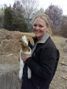 McKenna Hollingsworth - Nevada Equestrian Trainer- Hollingsworth Farms