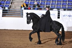 McKenna Hollingsworth - Nevada Equestrian Trainer- Hollingsworth Farms